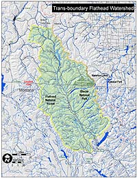 Transboundary Flathead River