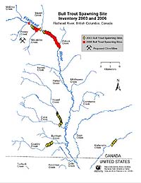 Bull Trout Map